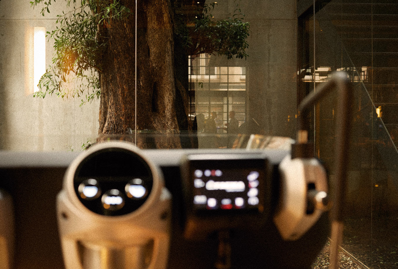 FAEMA E71E BUTTONS A2